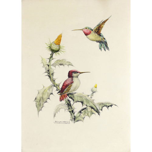 Sub.:5 - Lote: 32 - Colibrís