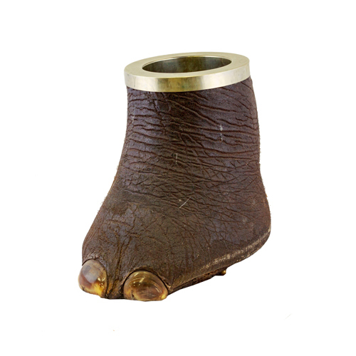 Sub.:6 - Lote: 288 - Pie de elefante